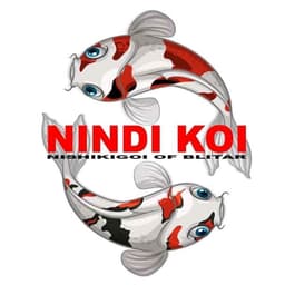 Nindi koi