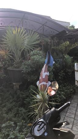 Koi Batu 