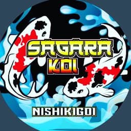 Sagara Koi farm