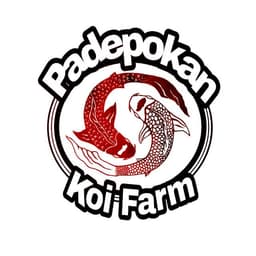 Padepokan koi farm