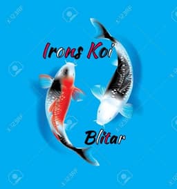 Irons koi