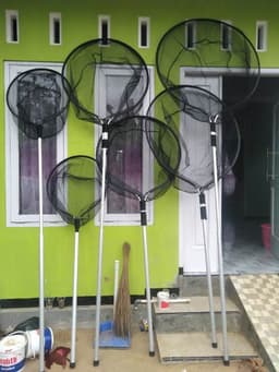 Didi