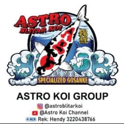 Astro Blitar Koi