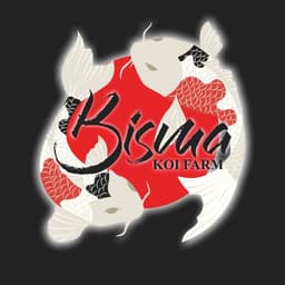 Bisma koi farm