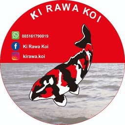Kirawakoi