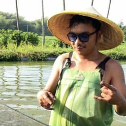 sadewa koi