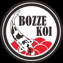 BOZZE Koi