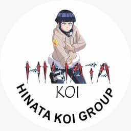 HiNaTa KoI