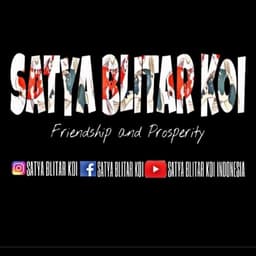 SATYA BLITAR KOI