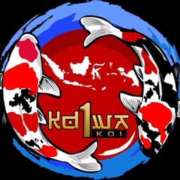 Koi Diwa