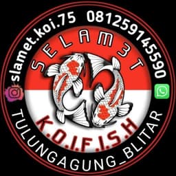 slamet koi