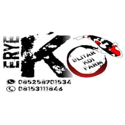 ErYe Koi