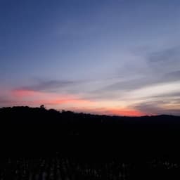 Dito wahyudi