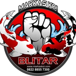 MARKAS KOI