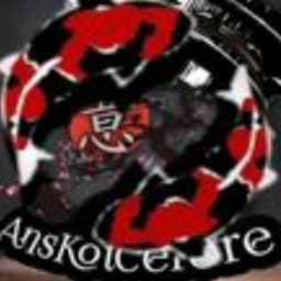AnsKoiCentre
