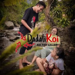 Dadali Koi