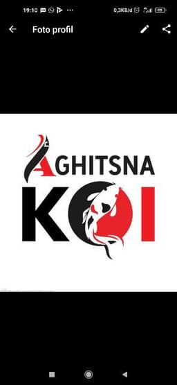 Aghitsna Koi