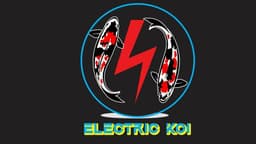 Elektrik koi