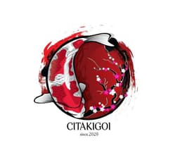 CITAKIGOI