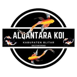 ALQANTARA KOI