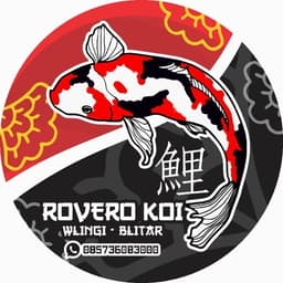 ROVERO KOI BLITAR