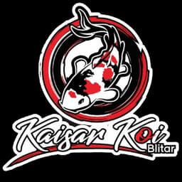 KAISAR KOI BLITAR 3