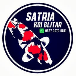 Satria KOI 