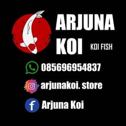 Arjuna Koi-
