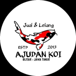Ajudan Koi ™⭐