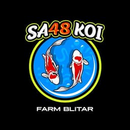 48_KOI_BLITAR