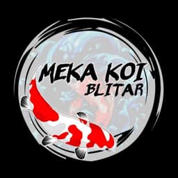 Meka Koi