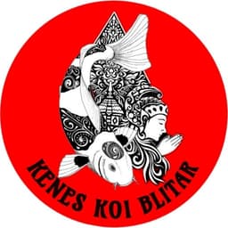 Kenes Koi Blitar