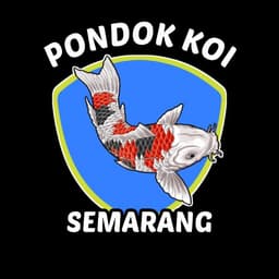 Pondok koi