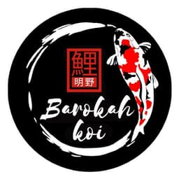 Barokah koi