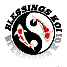 Blessings Koi