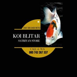 koiblitar_satriyanst