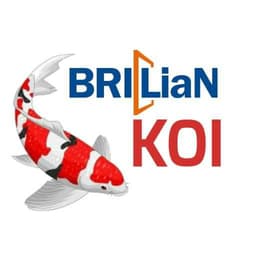 Brilian Koi 