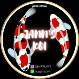 Jann's koi 