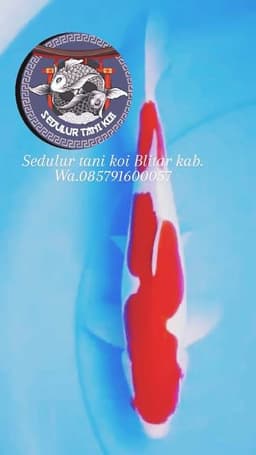 Hendri