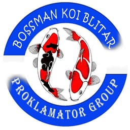 Bossman Koi