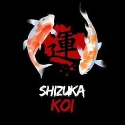 shizuka koi