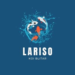 Lariso Koi