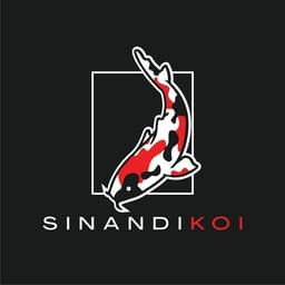 sinandikoi