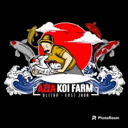 Azza koi farms