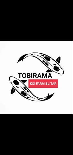 Tobirama koi farm