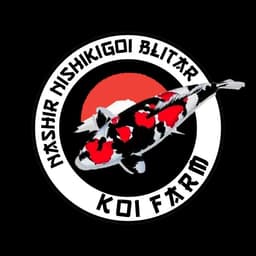NNB KOI FARM