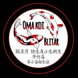 Oma koi blitar