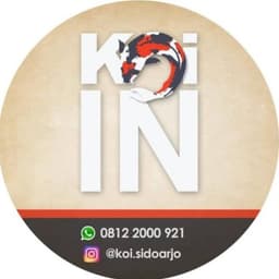 koi sidoarjo