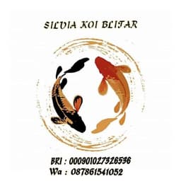 Silvia Koi Blitar