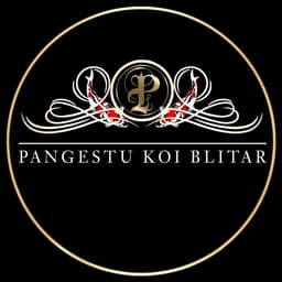 PANGESTU KOI 